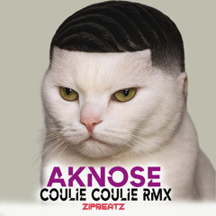 AKNOSE-COULIE COULIE WARM UP RMX (ZIPBEATZ)
