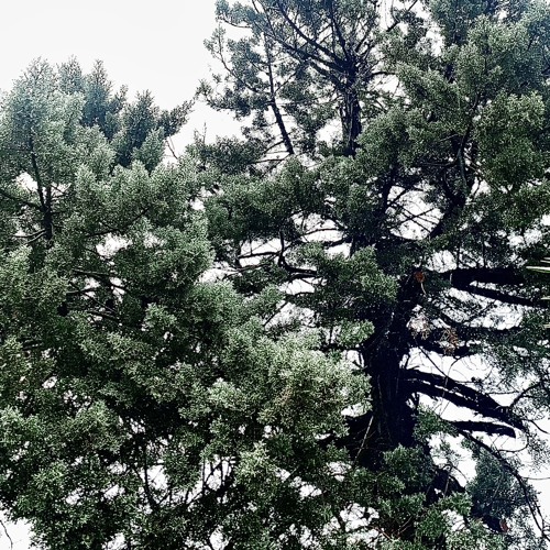 just like you (prod. dash)