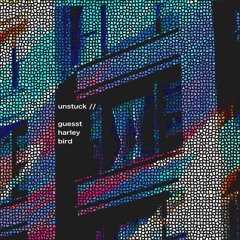 guesst & harley bird - unstuck