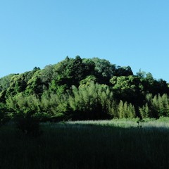 Log_20240511（demo）