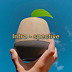 Introspective - Fake Deep