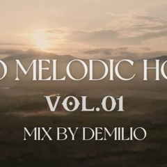 MELODIC AFRO HOUSE VOL 01 MIX BY DEMILIO