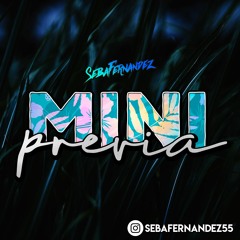 MINI PREVIA - Dj Seba Fernandez