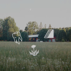 HAZLETT _ MISSIONARY FEELINGS (MGNTK REMIX)