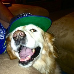 bruin baby