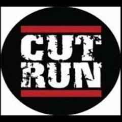 03-Cut___Run_-_The_Doc_(part_2).wav