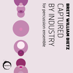 Captured by Industry (Brett William Dietz)