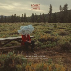 Hayd - Head In The Clouds (Robert Georgescu And White Remix)