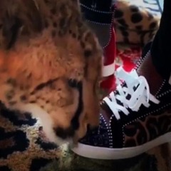 Can’t belive in farys 🧚