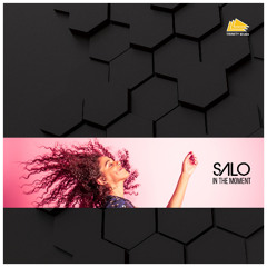SALO - In The Moment (Club Mix) (snipped)