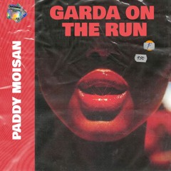 Paddy Moisan - Garda On The Run