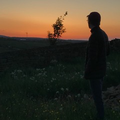 Master And A Hound (Gregory Alan Isakov Cover) // from across the room