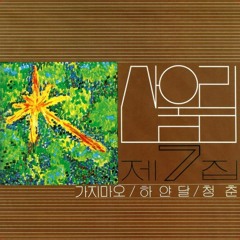 청춘 Youth (1981) - 산울림 Sanullim
