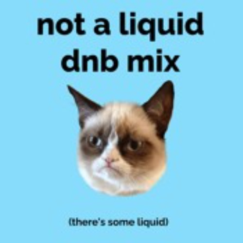 not a liquid dnb mix (deep & dark rollers) #23