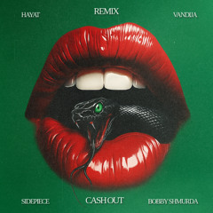 Cash Out (HayaT & Vandija Remix)