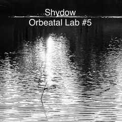 Orbeatal Lab #5 - summer 2023