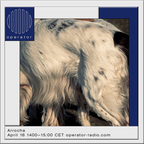 Arrocha 03 - Operator Radio
