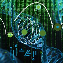 Zero Violin No Vocals