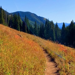 JUST AROUND THE BEND ("JamTune" Audric Jankauskas/Pat Robinson-2020)