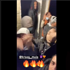 Kroog Mula  x DrizzyGang Ace - North to the South (Unreleased)