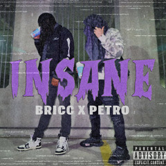 INSANE ft. PETRO