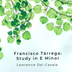 Francisco Tarrega:  Study in E Minor