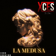 Nos Fuimos Hasta abajo vs La Medusa - Dj Nelson vs Dj Xces (Washishi Mashup)