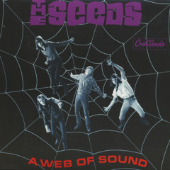 Pictures and Designs (Stereo)