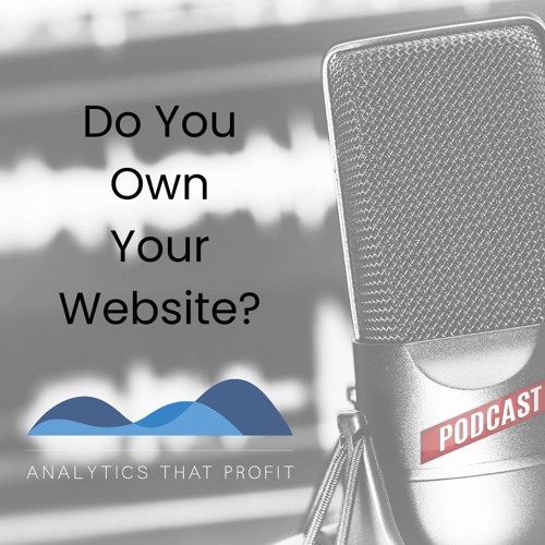 Do You Own Your Website?