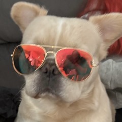 2026 fuel the thrusters! We’re coming!