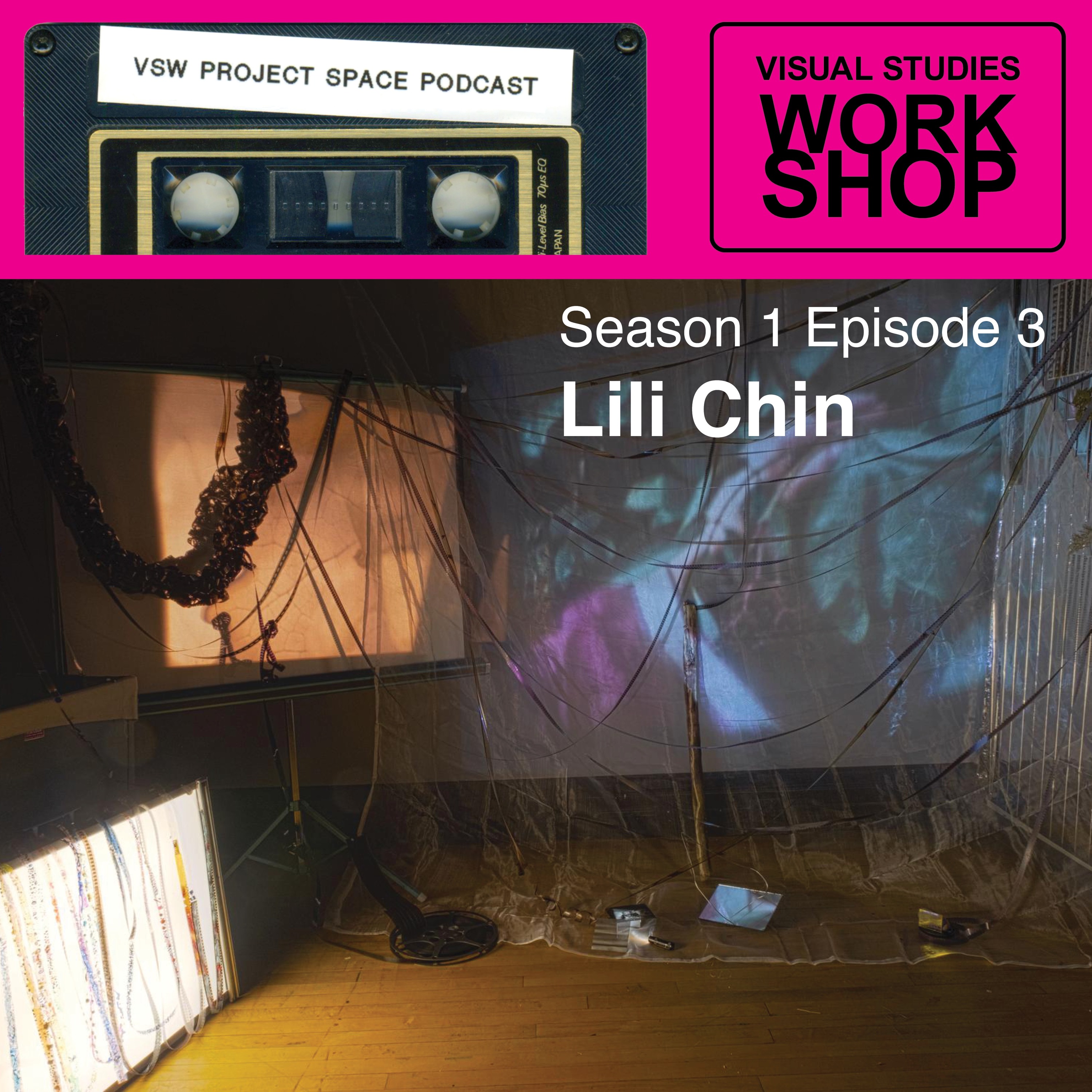 VSW Project Space Podcast