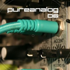 Pureanalog Rec. 0,6 (web previews)