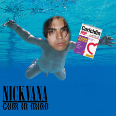 Something In My Ass - (Something In The Way Gay Parody)