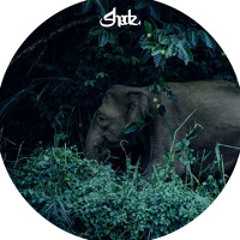 Shedz - Cyborg Dreams [FREE DL]
