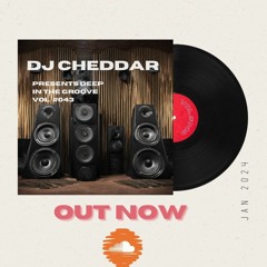 DJ CHEDDAR PRESENTS DEEP IN THE GROOVE VOL #043