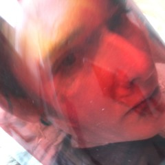 Renée van Trier - Can I Make Things Better?