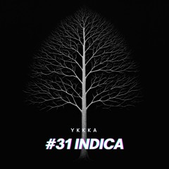 #31 indica