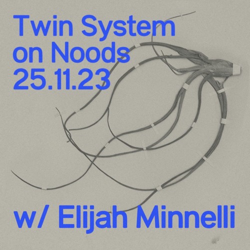 Twin System with Elijah Minnelli // NOODS // 25.11.23