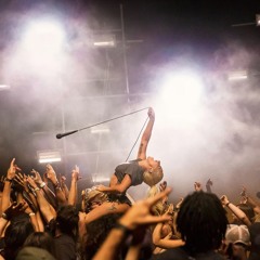 Lady Gaga - Perfect Illusion (remix)