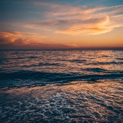 NATURE DREAM