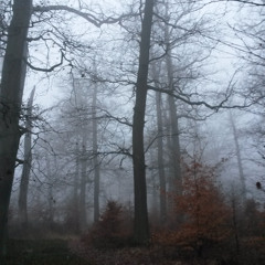 Raven Talk in the Fog