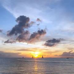 Best Key West Things To Do In December Tours Reviews