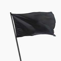 The Black Flag