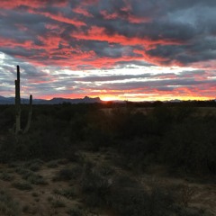 EARFQUAKE- Tyler, the Creator (Solo Piano Cover)