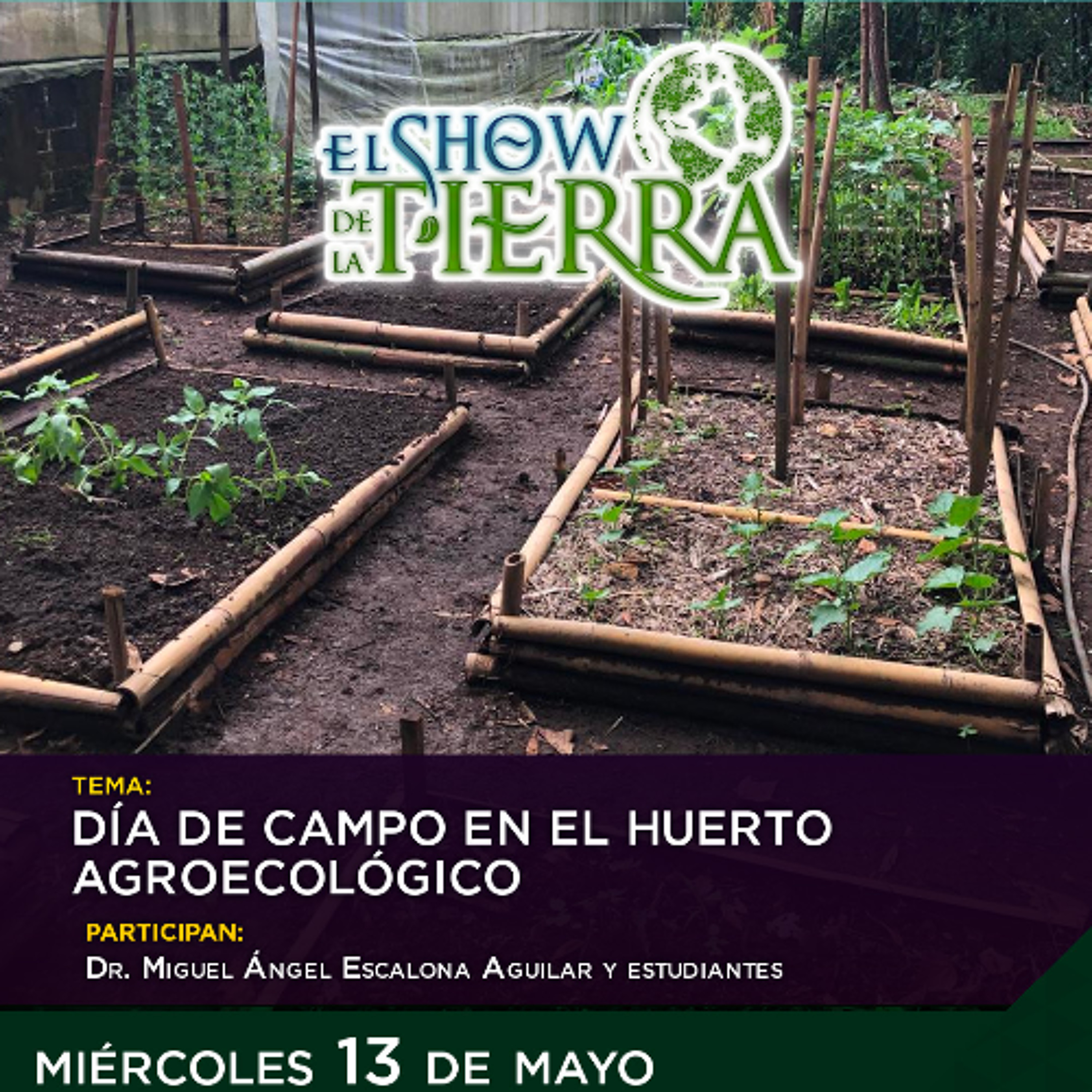 El Show de la Tierra - Día de Campo en el Huerto Agroecológico episode artwork