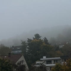 aven - kinder der stadt