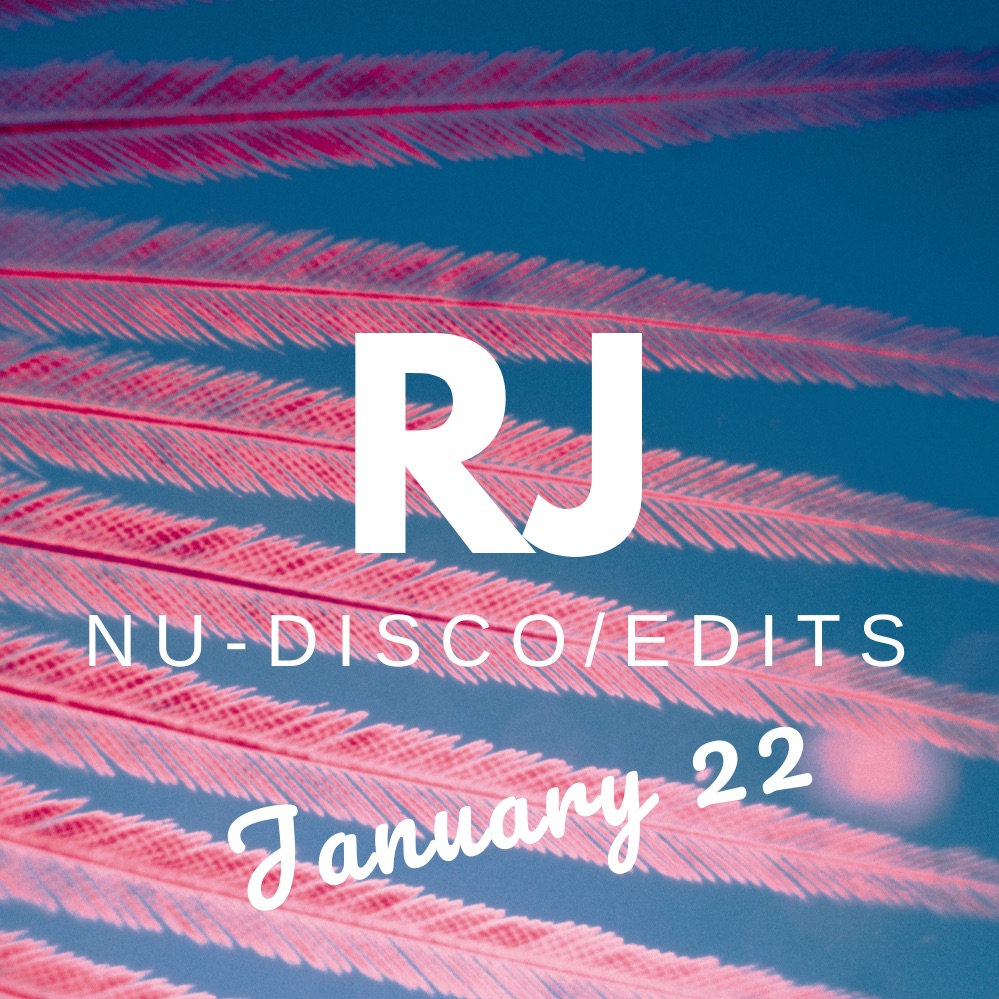 RJ Nu-Disco & Edits Mix January  2022