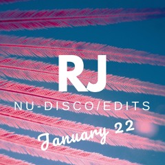 RJ Nu-Disco & Edits Mix January  2022