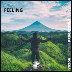 Acrux - Feeling [Progressive Music & Vozon Release]