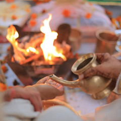Mayura मयूरः Live from  माता गङ्गे Rishikesh  11-11-2024